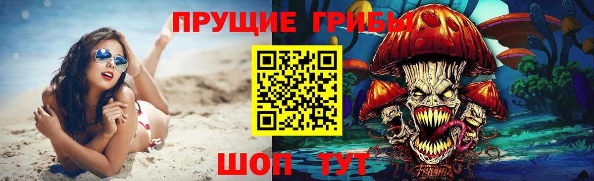 Нижнекамск  Галлюциногенные грибы Psilocybe  Вход с VPN 